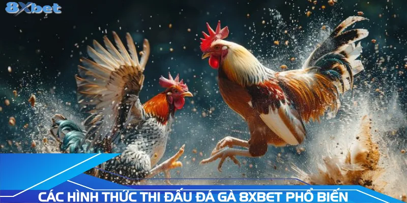 cac-hinh-thuc-thi-dau-da-ga-8xbet-pho-bien