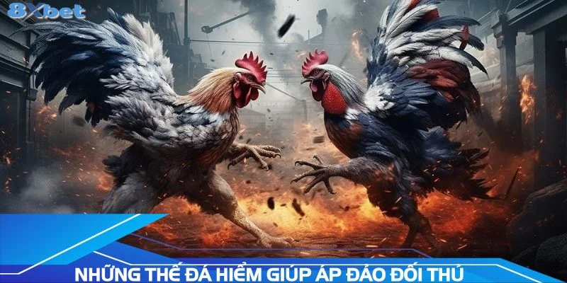 nhung-the-da-hiem-giup-chien-ke-ap-dao-doi-thu