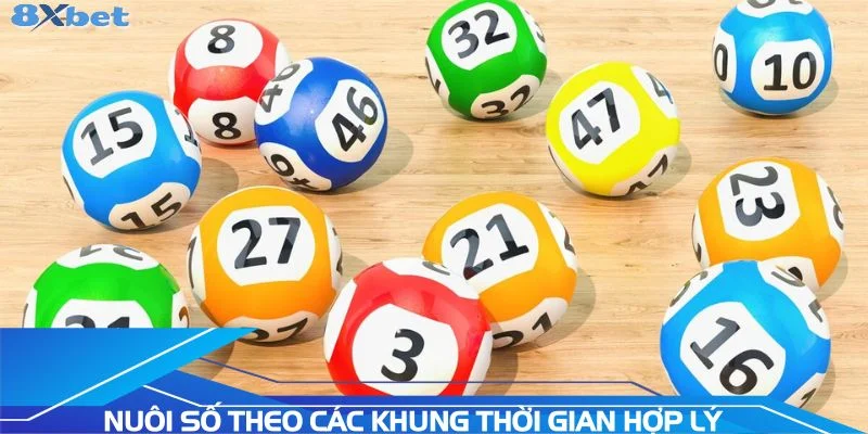 nuoi-so-theo-cac-khung-thoi-gian-hop-ly-nhat