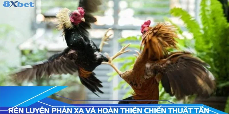 ren-luyen-phan-xa-va-hoan-thien-chien-thuat-tan-cong